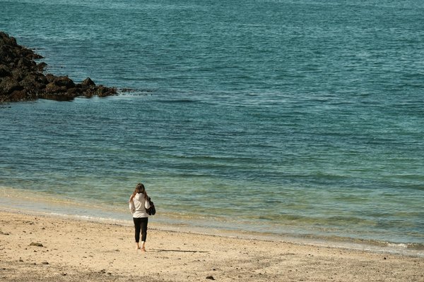 How do UK health professionals incorporate evidence-based practices in treatment plans?