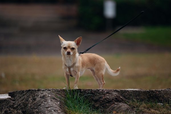 How Can the Health System in the UK Enhance Access to Services?